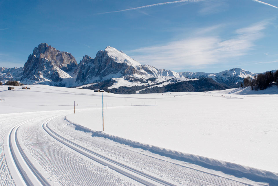 Sci e sci di fondo sull'Alpe di Siusi